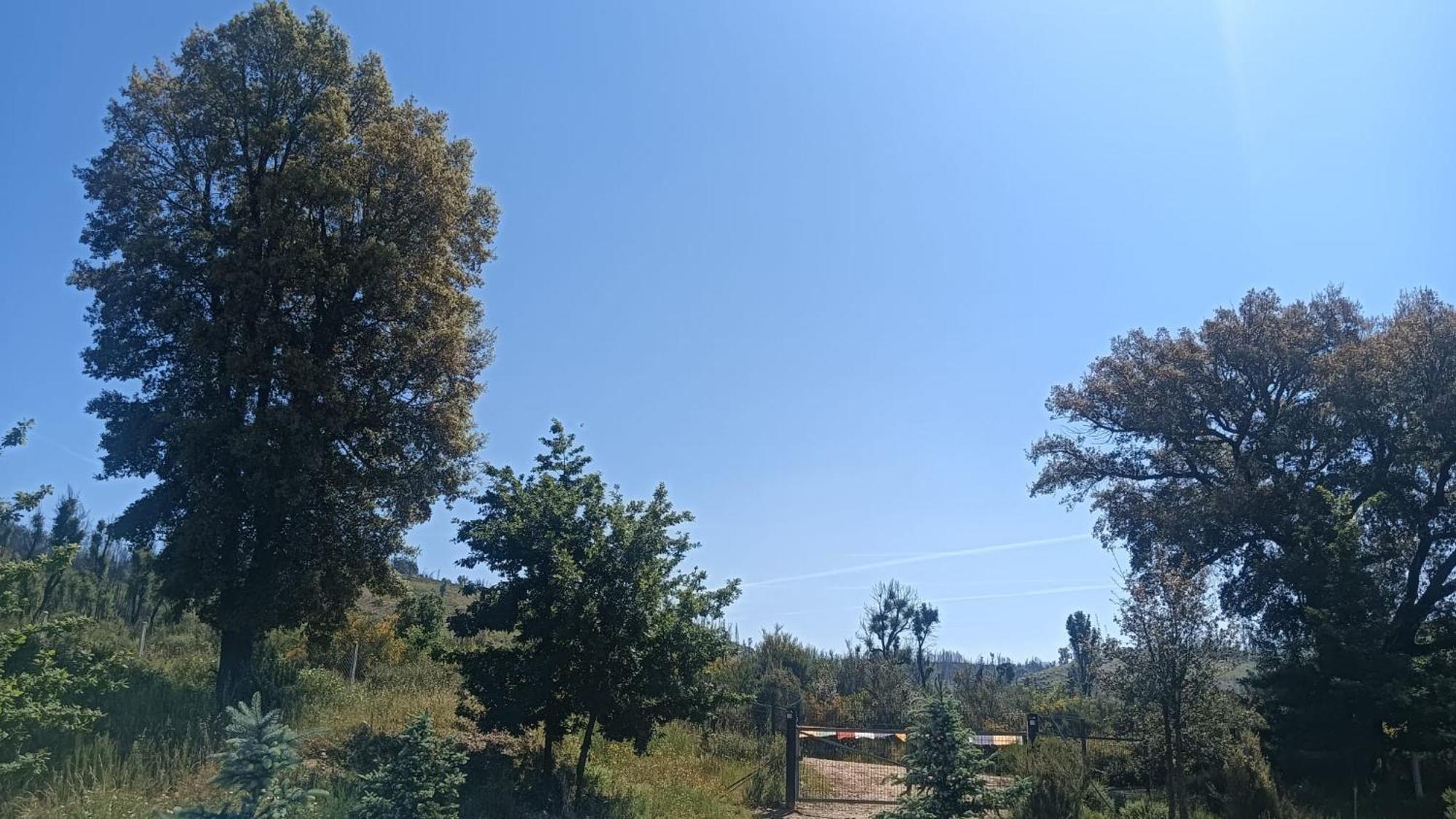 Quinta D' Luzarcoiris Villa Arganil Bagian luar foto