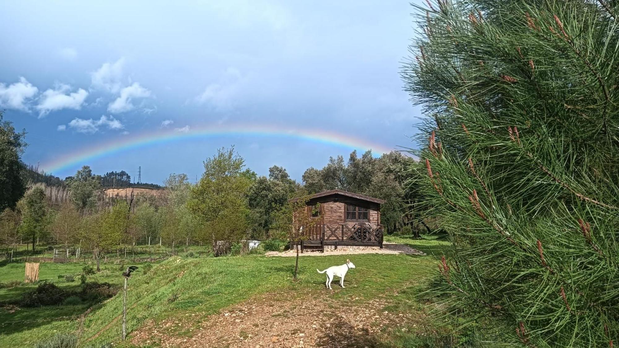 Quinta D' Luzarcoiris Villa Arganil Bagian luar foto