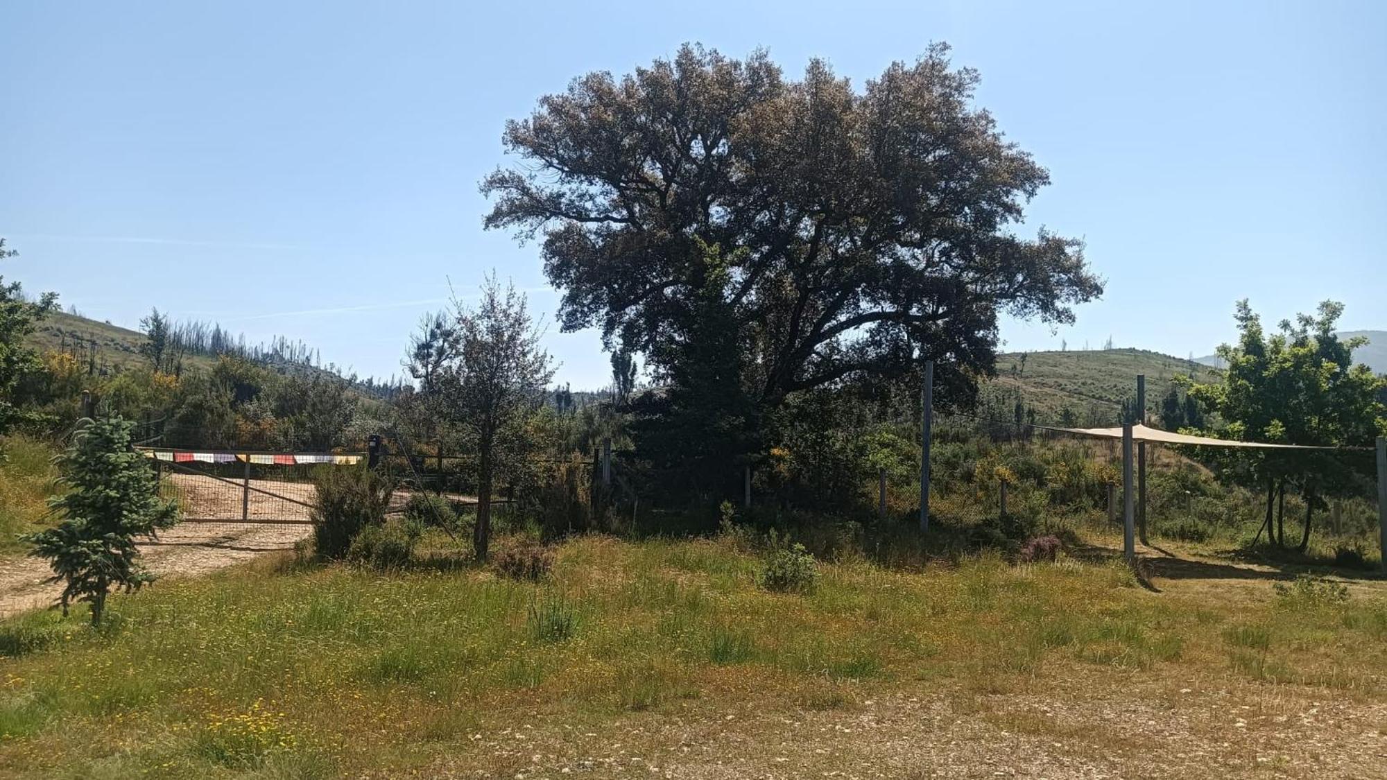 Quinta D' Luzarcoiris Villa Arganil Bagian luar foto